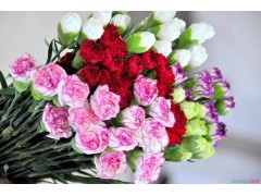 河南汽车维修平台APP