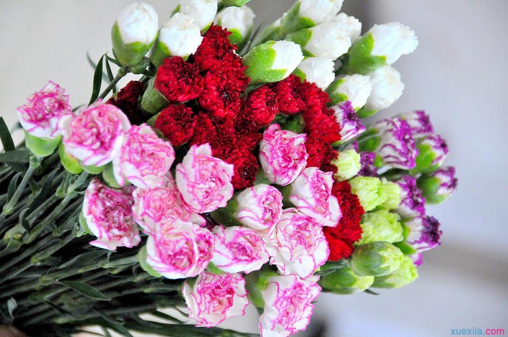 bty体育网页版 版本更新 新角色对战画面