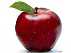 皇博国际appV5.6专业版