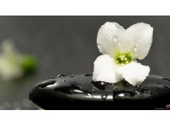贵州药材APP