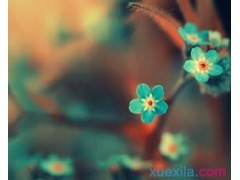 和胜体育appV9.3专业版