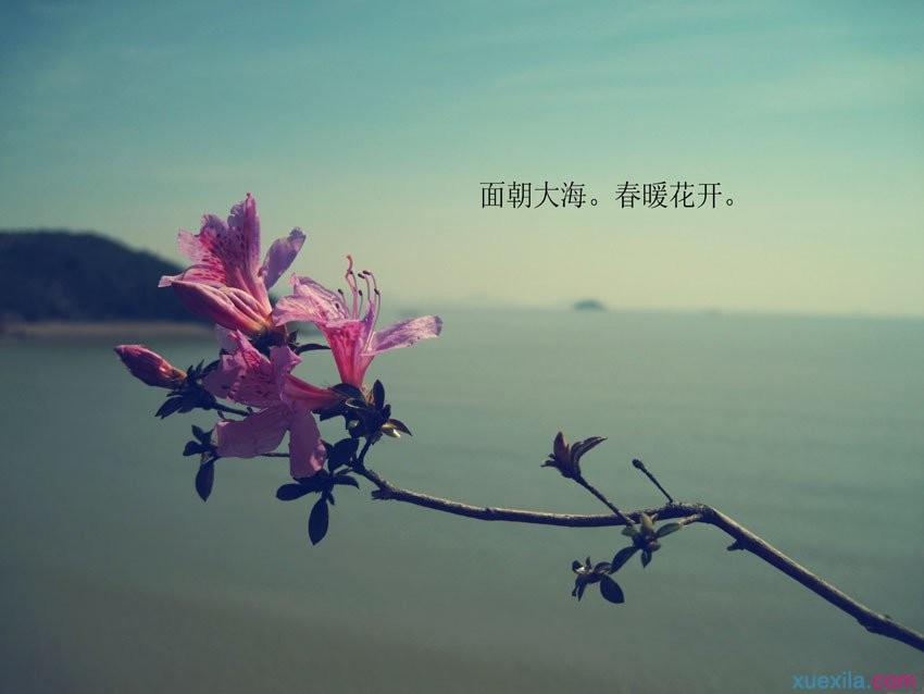 盛盈体育app安卓版二维码