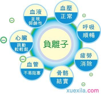 开运体育appV8.2专业版