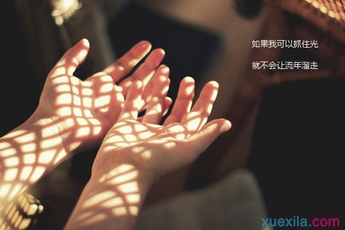 贵州药材APP