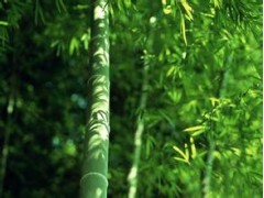 河南汽车维修平台APP