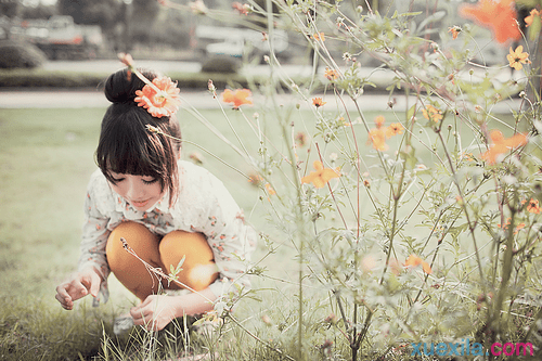 乐鱼体育官方入口2025版新角色集合