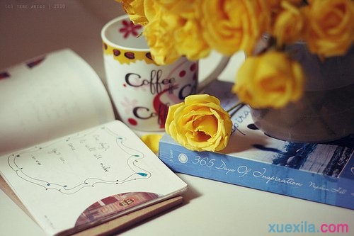 花生壳动态域名for Linux