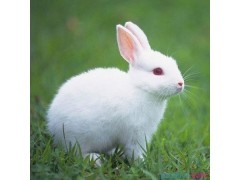 welcom一购彩国际app
