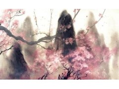 超级急救盘优盘版