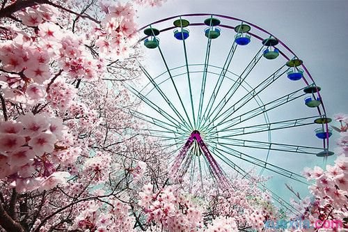 沙巴滚球网页版2025最新版世界观场景图