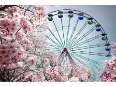 贵州药材APP