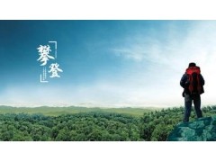 v8彩票appV2.5专业版