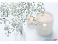公海赌船APP下载安卓版二维码