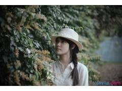 梦幻西游2完整版