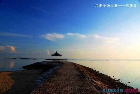 太阳网城app