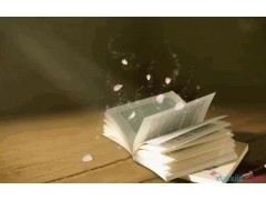 旺彩appV8.5专业版