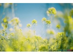 邑商家app