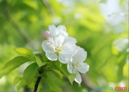 河南汽车维修平台APP