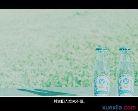 贵州药材APP