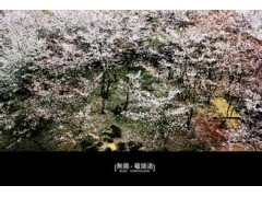 小熊洗车APP