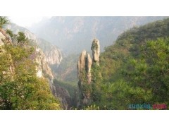 优健康app