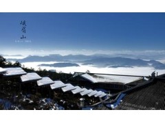 我的世界 国际版