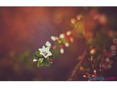 徐房信息网官方版