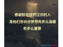 ALShow(韩国播放器)