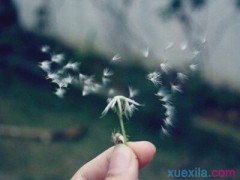 建设侏罗纪公园