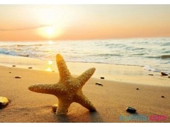37365体育注册2025最新版世界观场景图