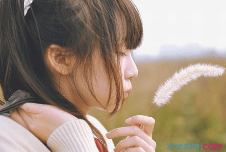 小熊洗车APP
