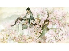 nbu格式查看器