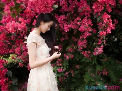 牧场物语：记忆之种
