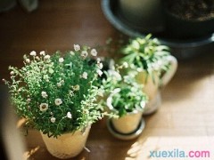 不土不木规范手机版
