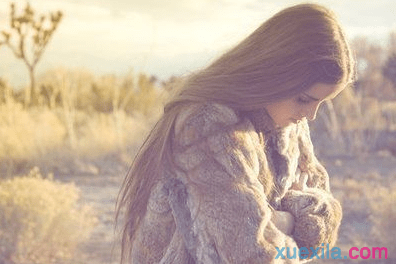 中欧体育appV5.2专业版