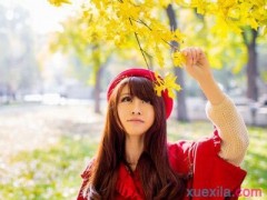 BOB体育综合官网V8.2专业版