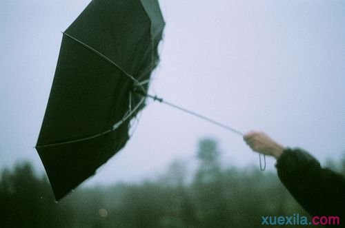 凯立德地图导航最新版免费