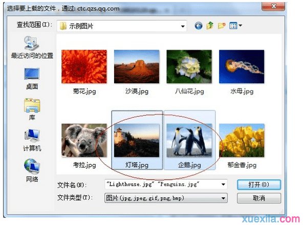 kaiyun体育app登录入口 2025最新版 角色创建与自定义界面