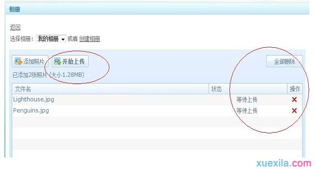尊龙d88V1.8专业版