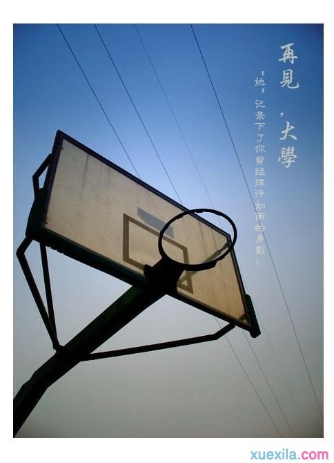 篝火：被遗忘的土地