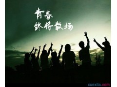 九游战国幻武手游