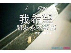 bb彩票appV1.9专业版