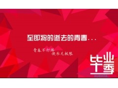 头条搜索极速版