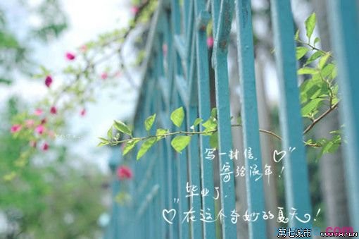足球彩票竞彩网APPV6.9专业版