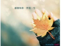 雪狐桌面精灵win7