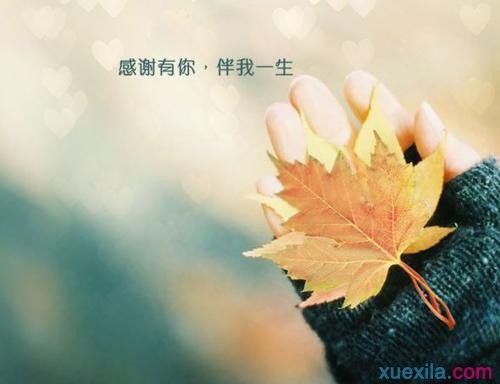 迷你简舒体