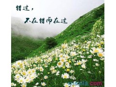 eman安卓版