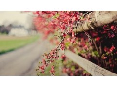 河南汽车维修平台APP