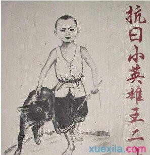 贵州药材APP