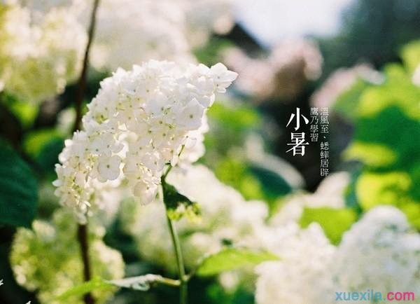 爱游戏TV版官网